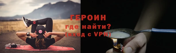 прущие грибы Михайлов